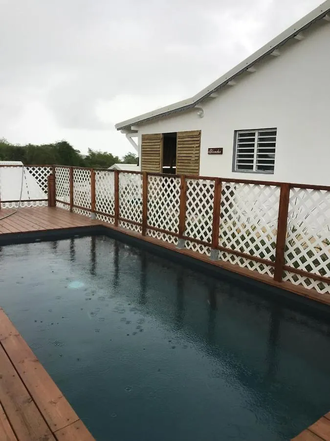 Les Aloes By Creyol Animal Hotel Grand-Bourg  Grand-Bourg (Marie Galante)