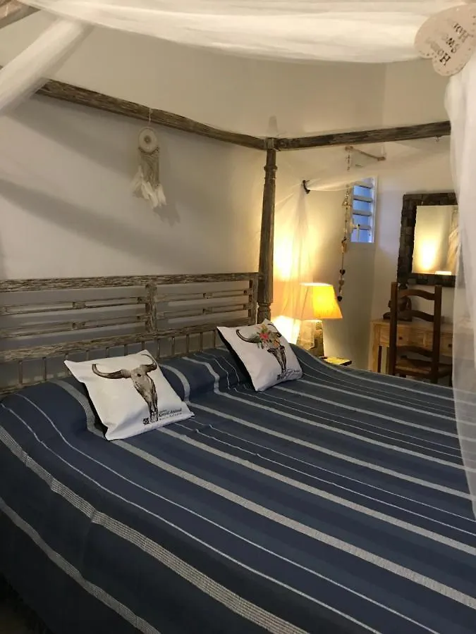Guest house Les Aloes By Creyol Animal Hotel Grand-Bourg